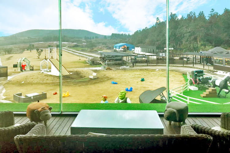 제주 가을 카페: 인적 드문 밭 한가운데서 조용히 멍때리는 뷰맛집 Top 5 4 목장카페드르쿰다 서귀포시 표선면