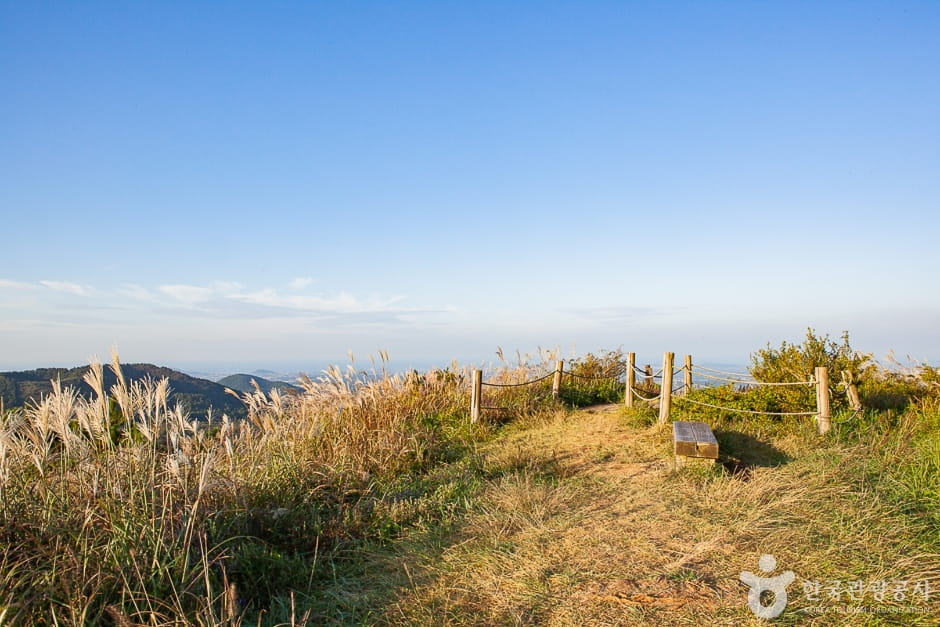 제주 억새 명소: 막 찍어도 화보가 되는 은빛 오름과 비밀 들판 5선 4 정물오름 억새 제주시 한림읍