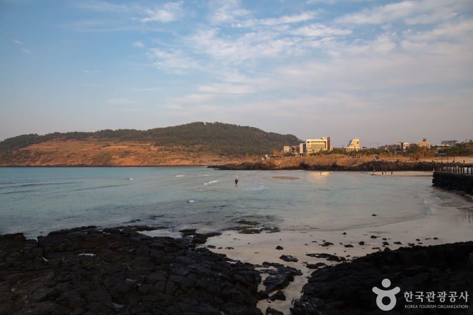 추석 뚜벅이 제주, 렌터카 없어도 충분! 버스로 돌아보는 동부 여행지 Best 5 2 함덕해수욕장 제주시 조천읍