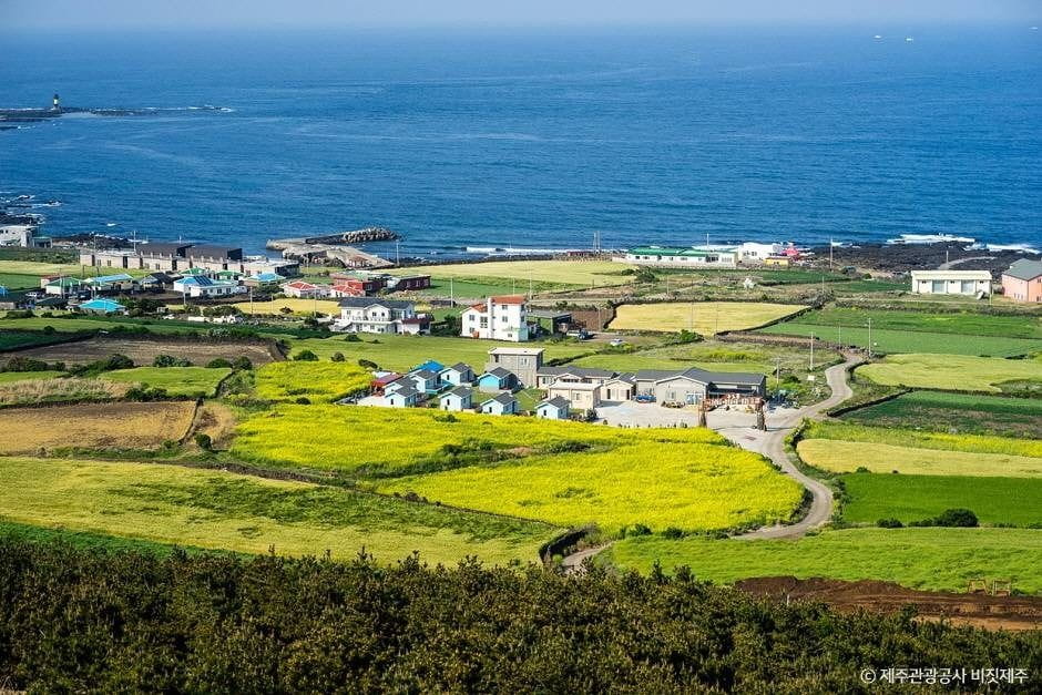 추석 뚜벅이 제주, 렌터카 없어도 충분! 버스로 돌아보는 동부 여행지 Best 5 6 우도 제주시 우도면