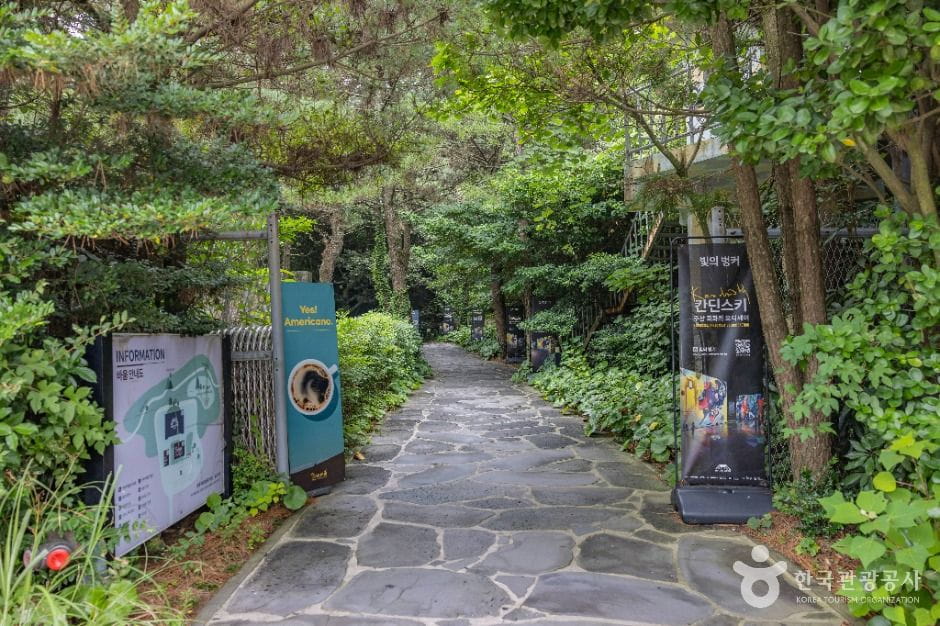 빛의 벙커