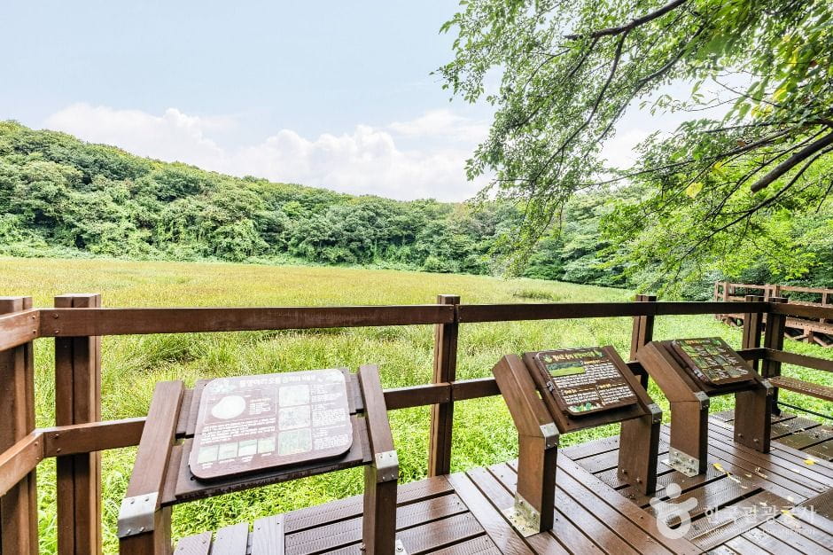 추석 인파에 지쳤다면? 가을에 조용히 걷기 좋은 제주 숲길 & 오름 Top 5 4 물영아리오름 서귀포시 남원읍