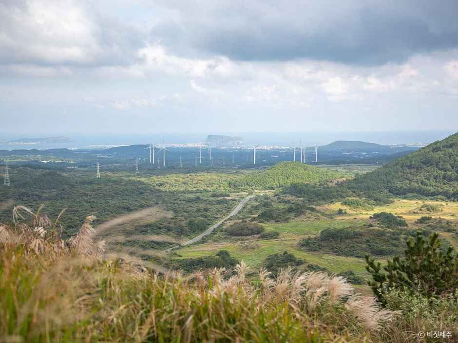 제주 억새 명소: 막 찍어도 화보가 되는 은빛 오름과 비밀 들판 5선 5 백약이오름 억새 서귀포시 표선면
