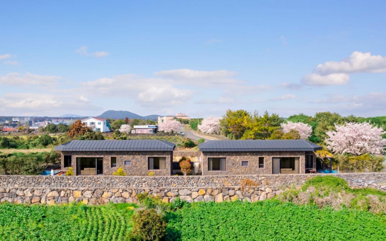 서귀포 독채풀빌라 표선돌담집 서귀포시 표선면