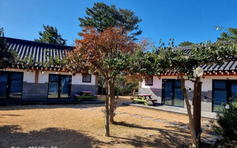 제주 애월한옥펜션 후기, 가격, 예약 | 애월 한옥 수영장 독채 펜션