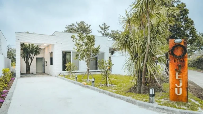 서귀포 오제주 펜션 후기, 가격, 예약 | 성산읍 독채 수영장 바비큐
